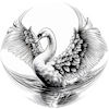Swan